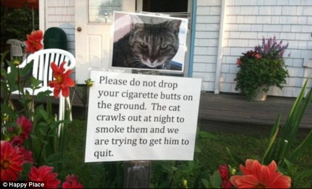 Hilarious approach for humilating neighbours'